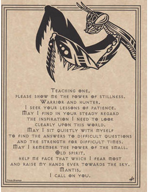 Mantis Prayer Poster