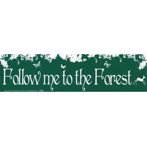 Follow Me To The Forest
