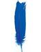 (set of 10) Blue feather 12"